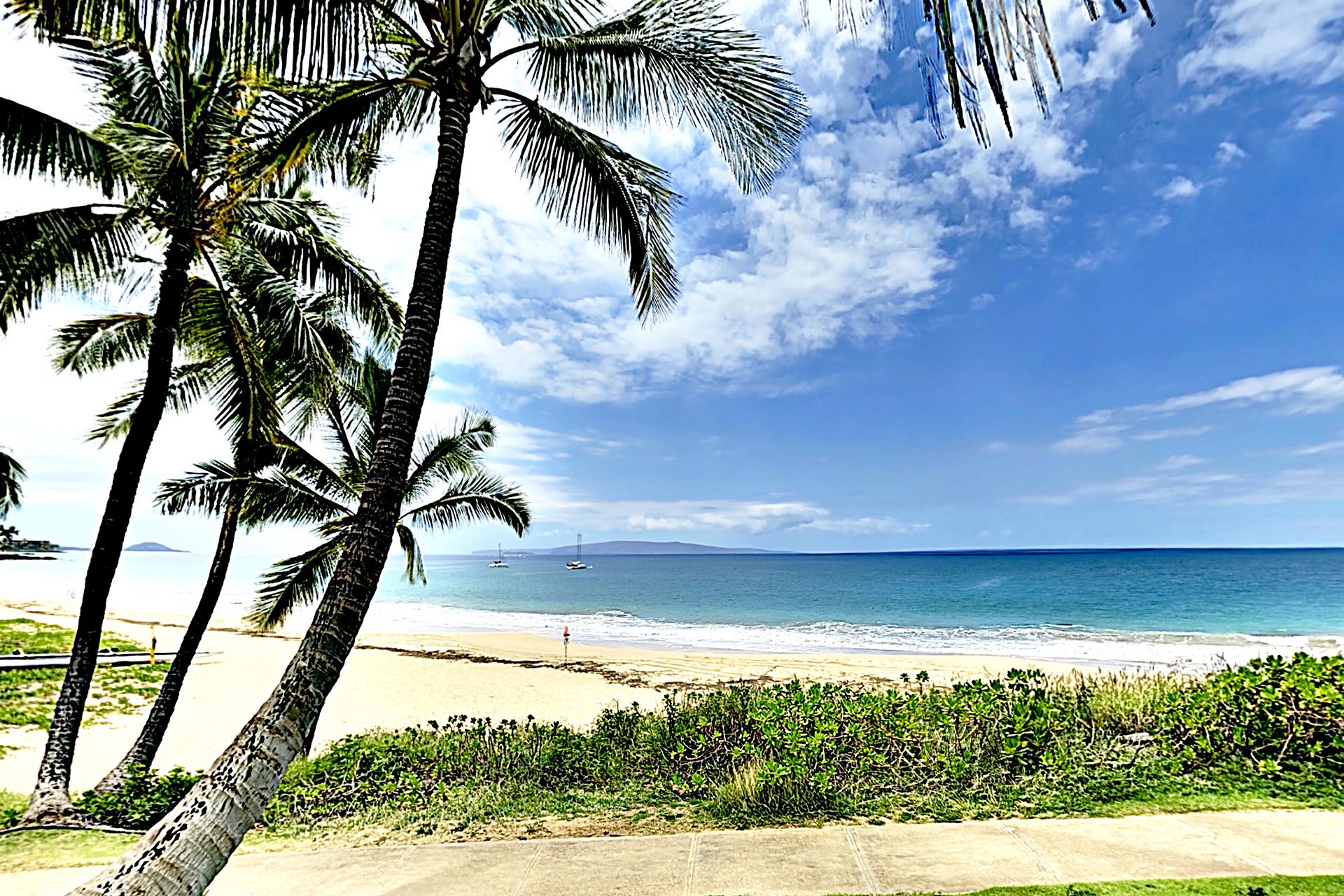 Indo Lotus Beach House